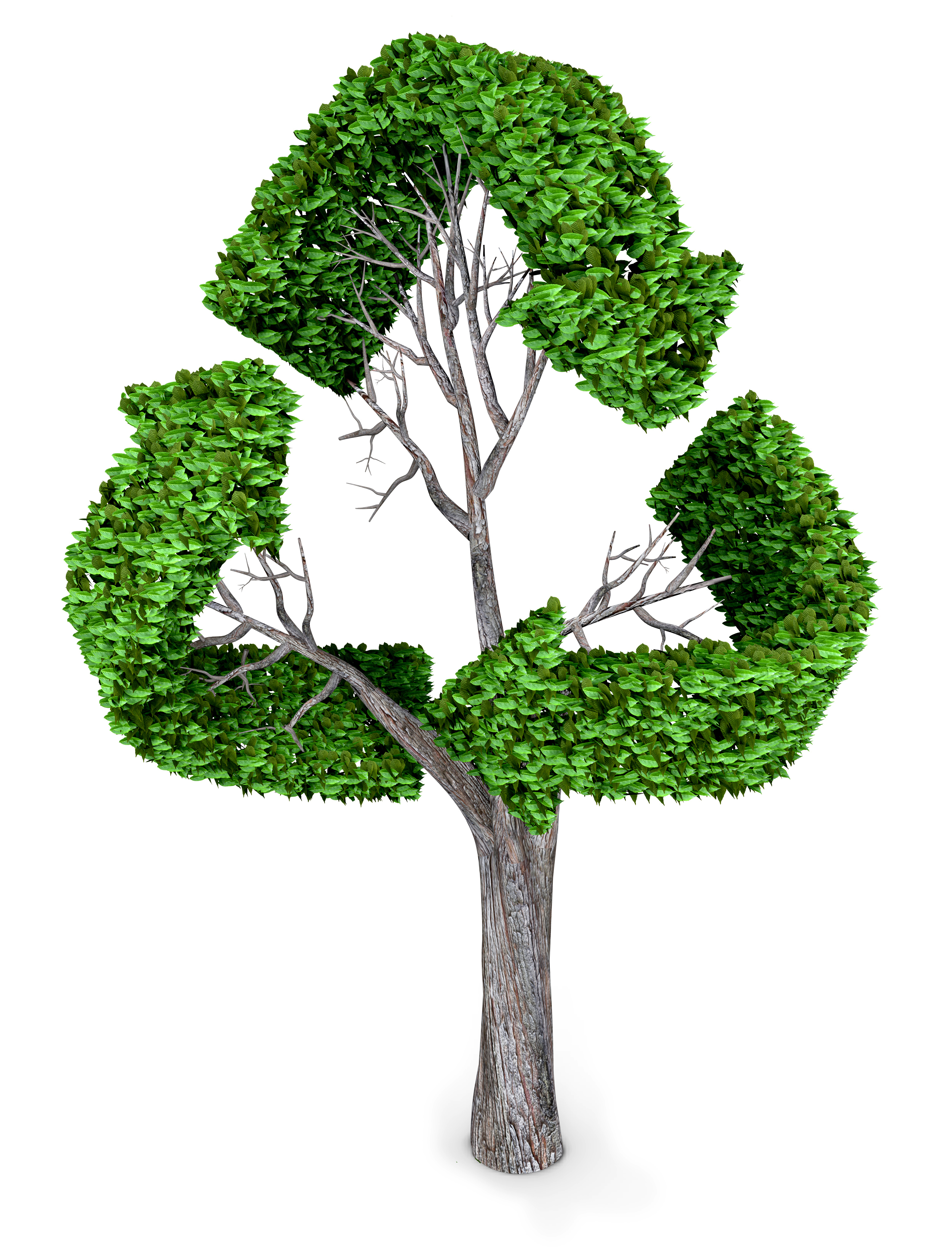 shutterstock_129518147